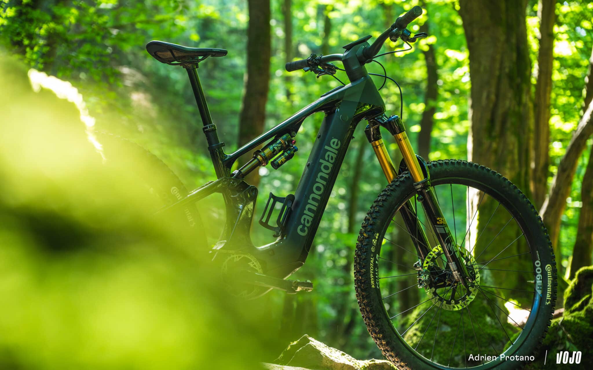 https://www.vojomag.com/app/uploads/2025/06/Cannondale Moterra 2025 VTTAE Avis Test comparaison Vojo A.Protano 1 51 2048x1280.jpg