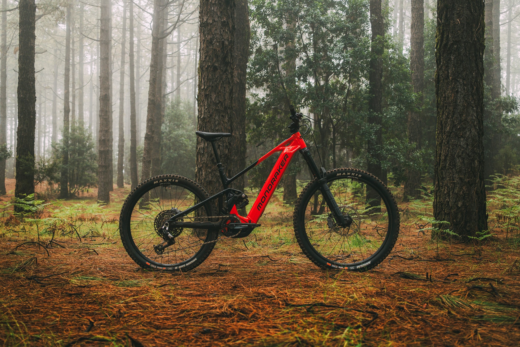 https://www.vojomag.com/app/uploads/2025/06/specialized levo alu 2025 vttae 109 e1750843930696.jpg