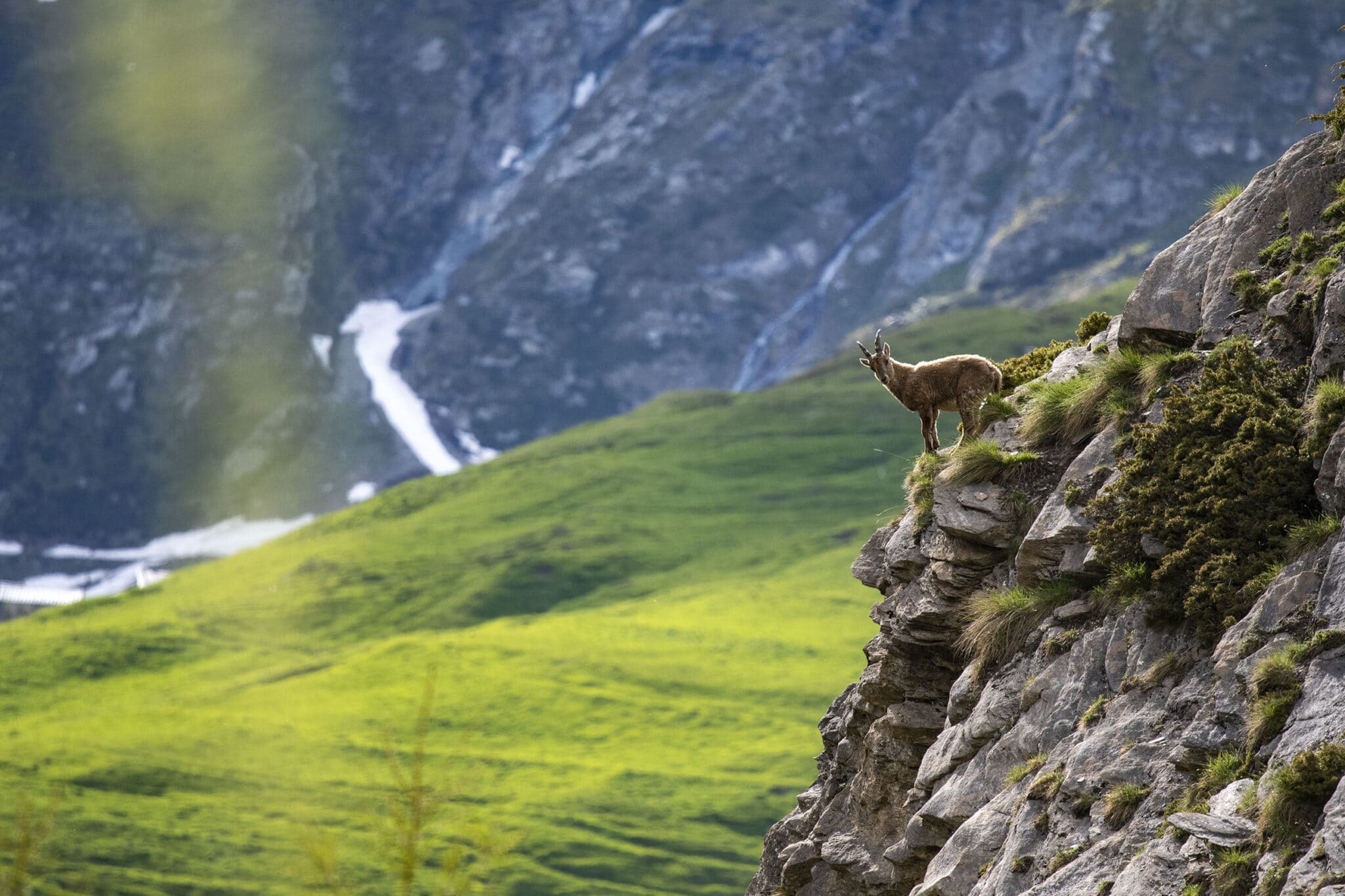 https://www.vojomag.com/app/uploads/2025/07/Haute Maurienne VTT 5 1214x2048.jpg