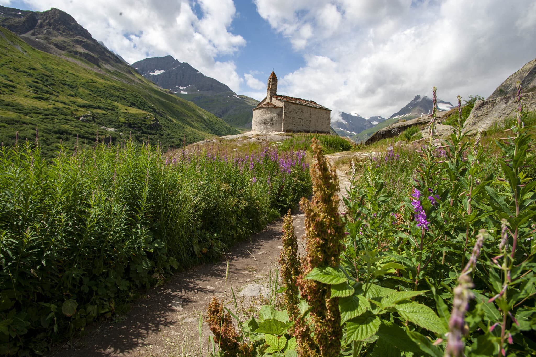 https://www.vojomag.com/app/uploads/2025/07/Haute Maurienne Ecot11 2048x1363.jpg