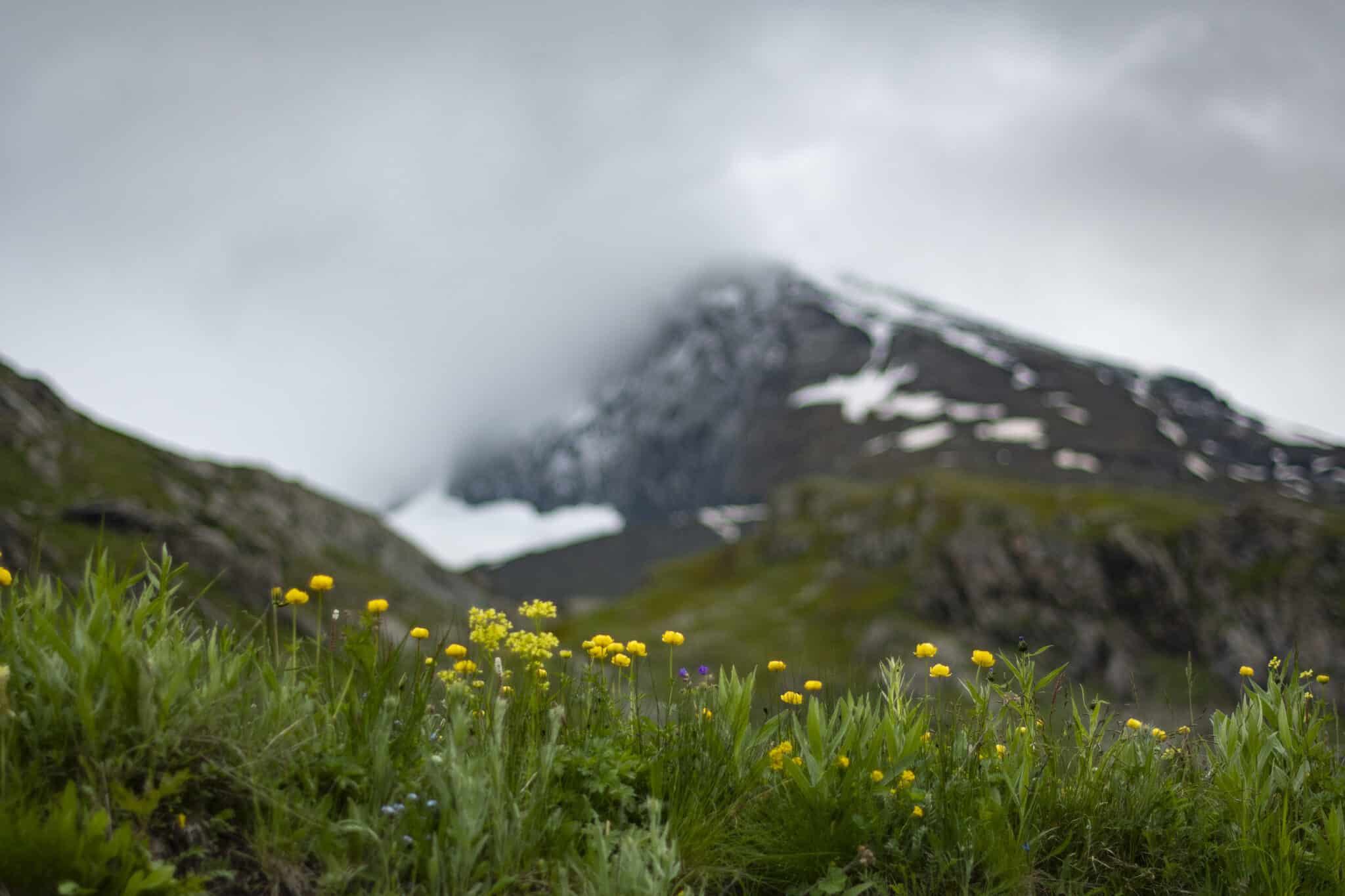 https://www.vojomag.com/app/uploads/2025/07/Haute Maurienne VTT affiche 1554x2048.jpg
