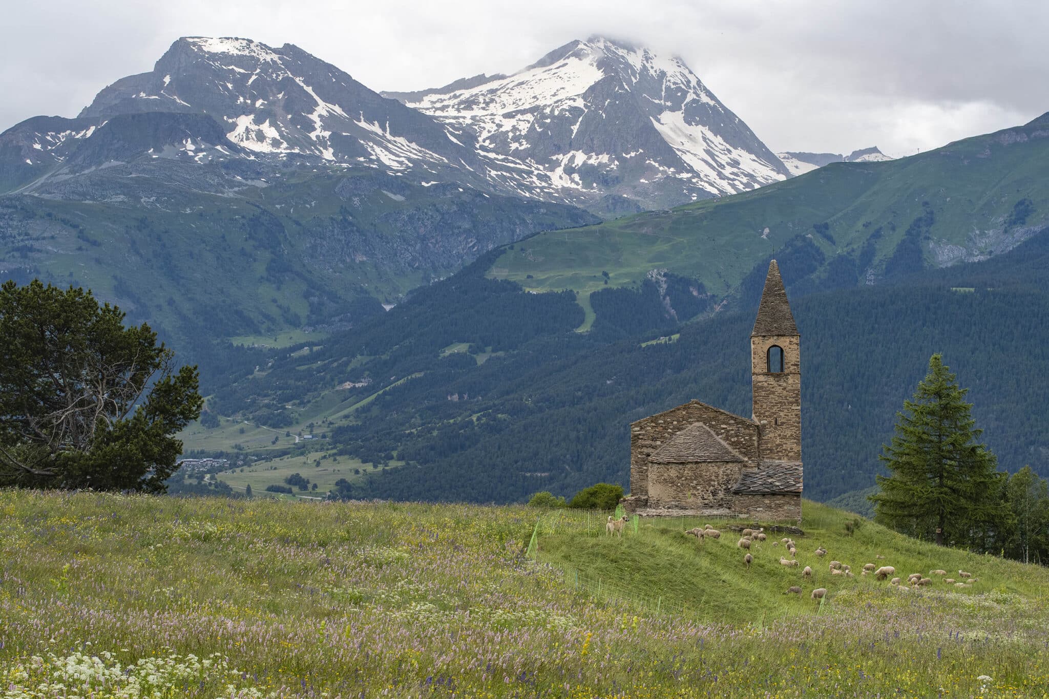 https://www.vojomag.com/app/uploads/2025/07/Haute Maurienne VTT 7 1365x2048.jpg