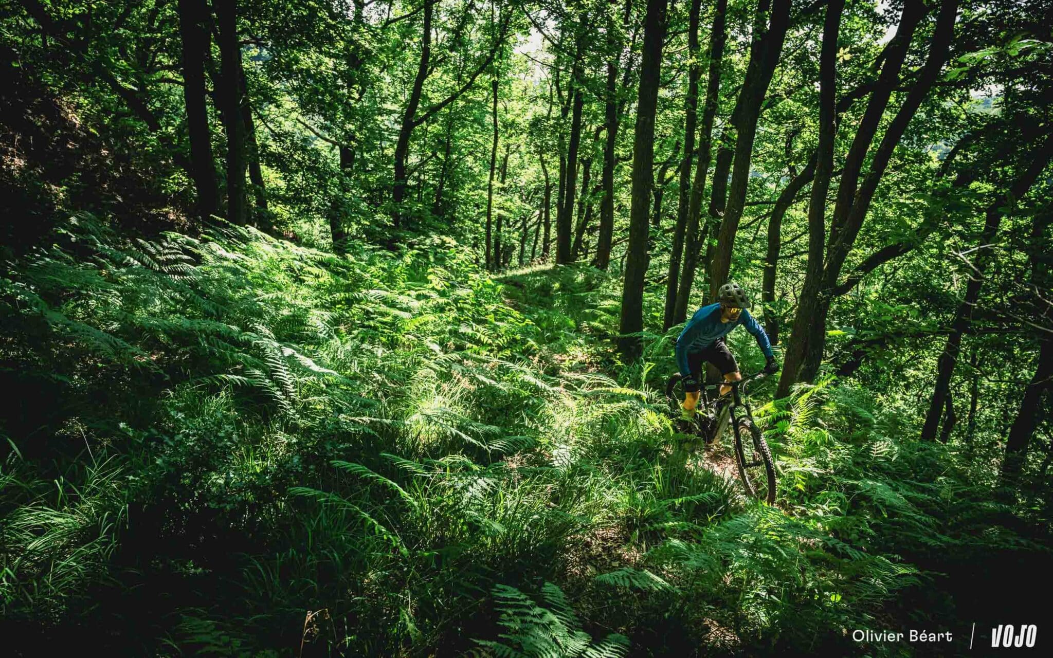 https://www.vojomag.com/app/uploads/2025/07/Mondraker Sly Bosch SX test essai avis - Copyright Olivier Beart Vojo Magazine 9 2048x1280.jpg