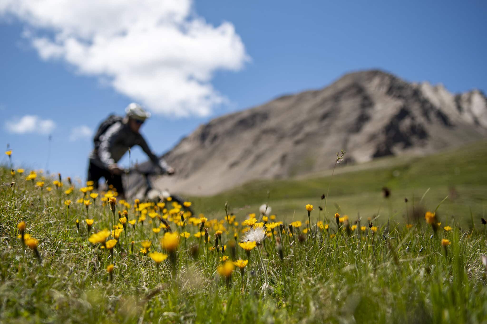 https://www.vojomag.com/app/uploads/2025/07/Panorama Bike col Brig 3 2048x1365.jpg