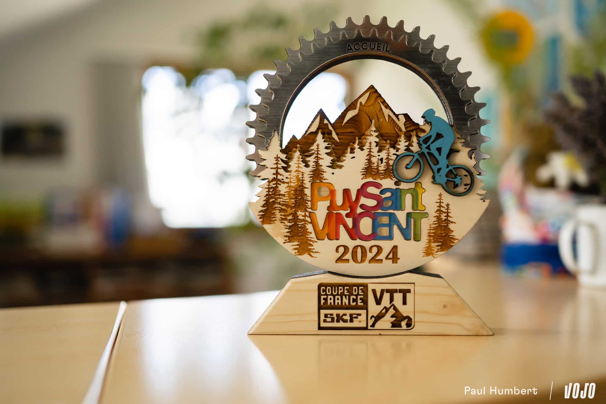 https://www.vojomag.com/app/uploads/2025/07/Puy saint vincent bike park vtt 2024 vojo paul humbert 85.jpg