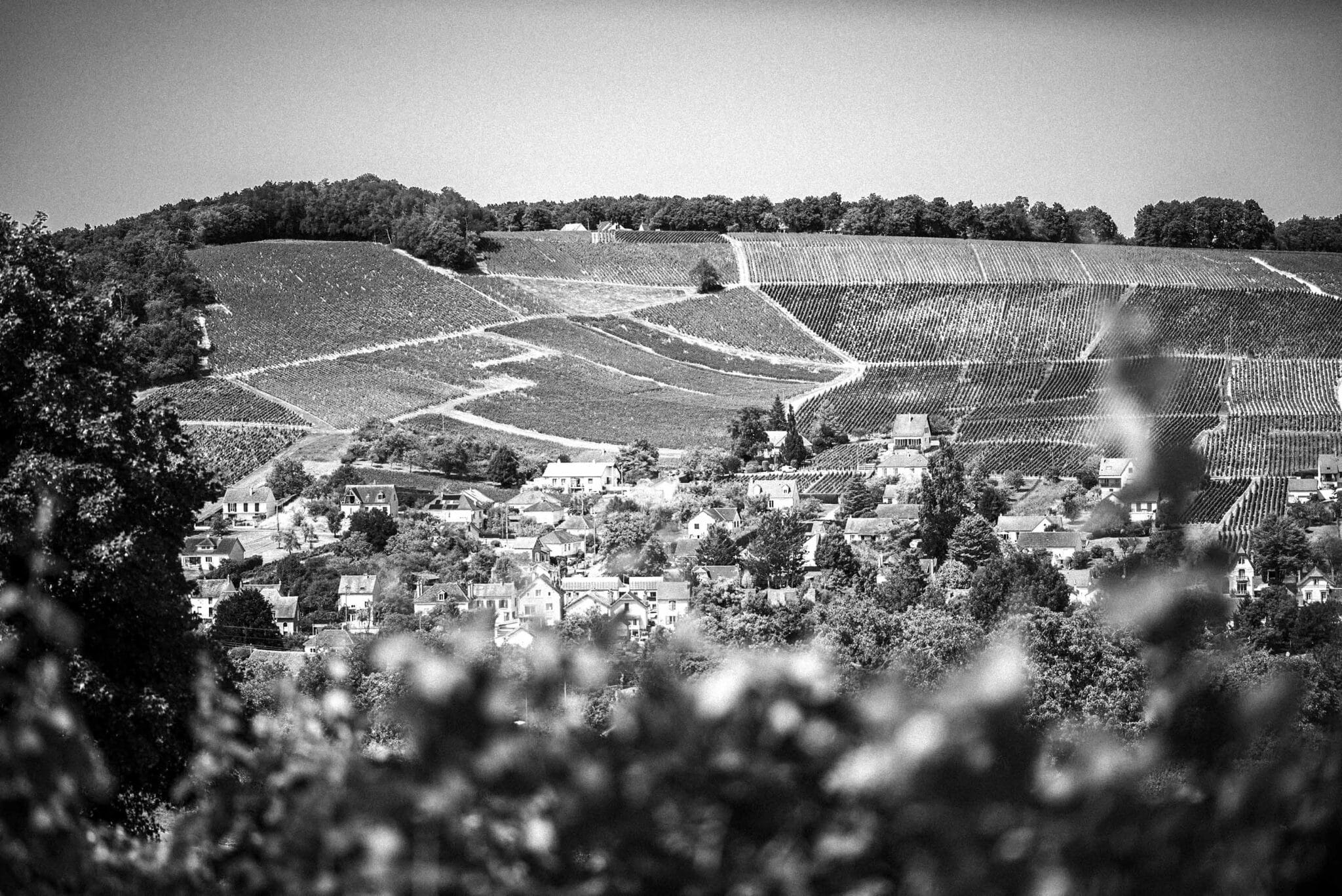 https://www.vojomag.com/app/uploads/2025/08/Challenge Tourmagne Vigne Sancerre3 2048x1367.jpg