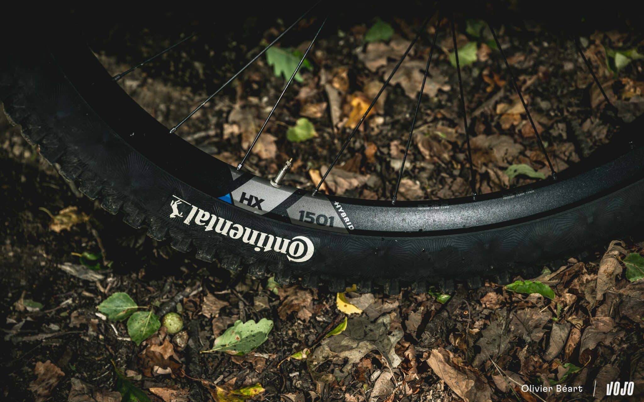 https://www.vojomag.com/app/uploads/2025/09/Lapierre Overvolt AM 10 8 Bosch test essai avis ebike - Copyright Olivier Beart Vojo Magazine 2 2048x1280.jpg