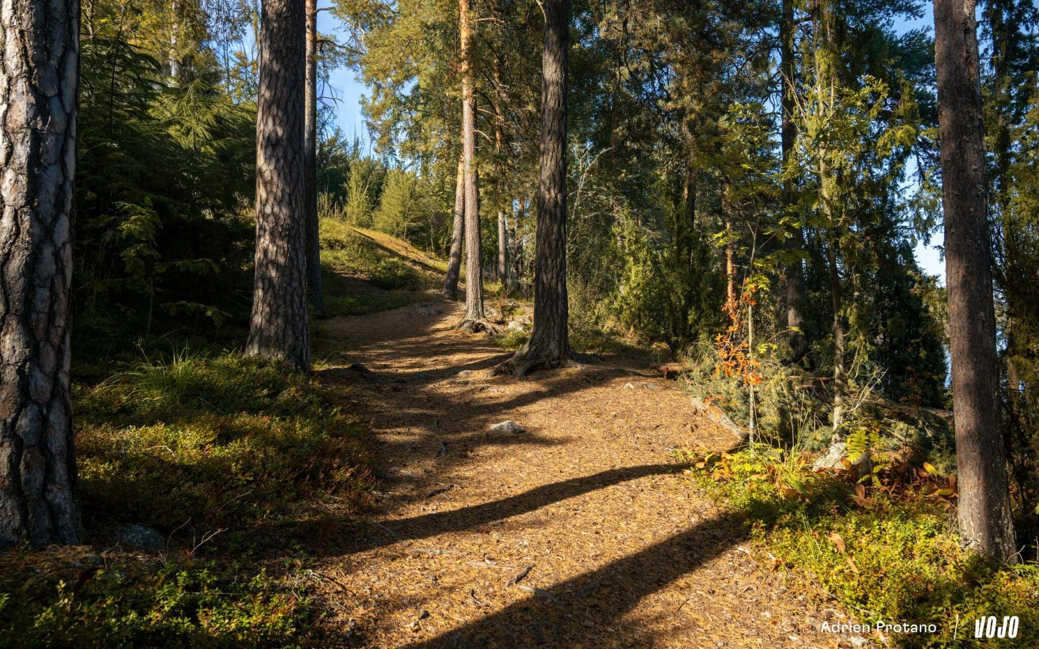 https://www.vojomag.com/app/uploads/2025/09/Nordic Gravel Series Lathi Falling Leaves Gravel test avis comparaison Vojo nouveaute La Cluzaz A.Protano 1 2 2048x1280.jpg