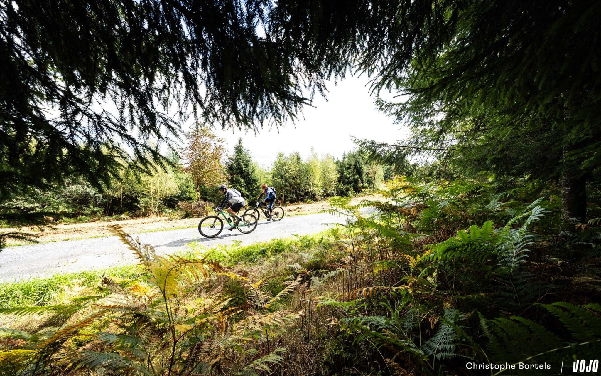 https://www.vojomag.com/app/uploads/2025/09/Vojomag GRG Gravel 2025 21 2048x1280.jpg
