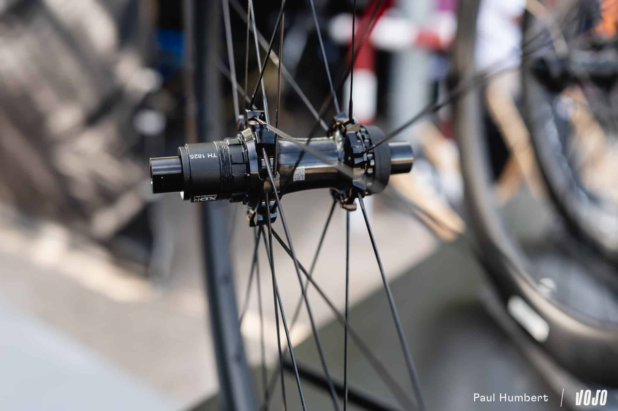 https://www.vojomag.com/app/uploads/2025/09/sea otter gerone girona europe 2025 vojo paul humbert 35.jpg