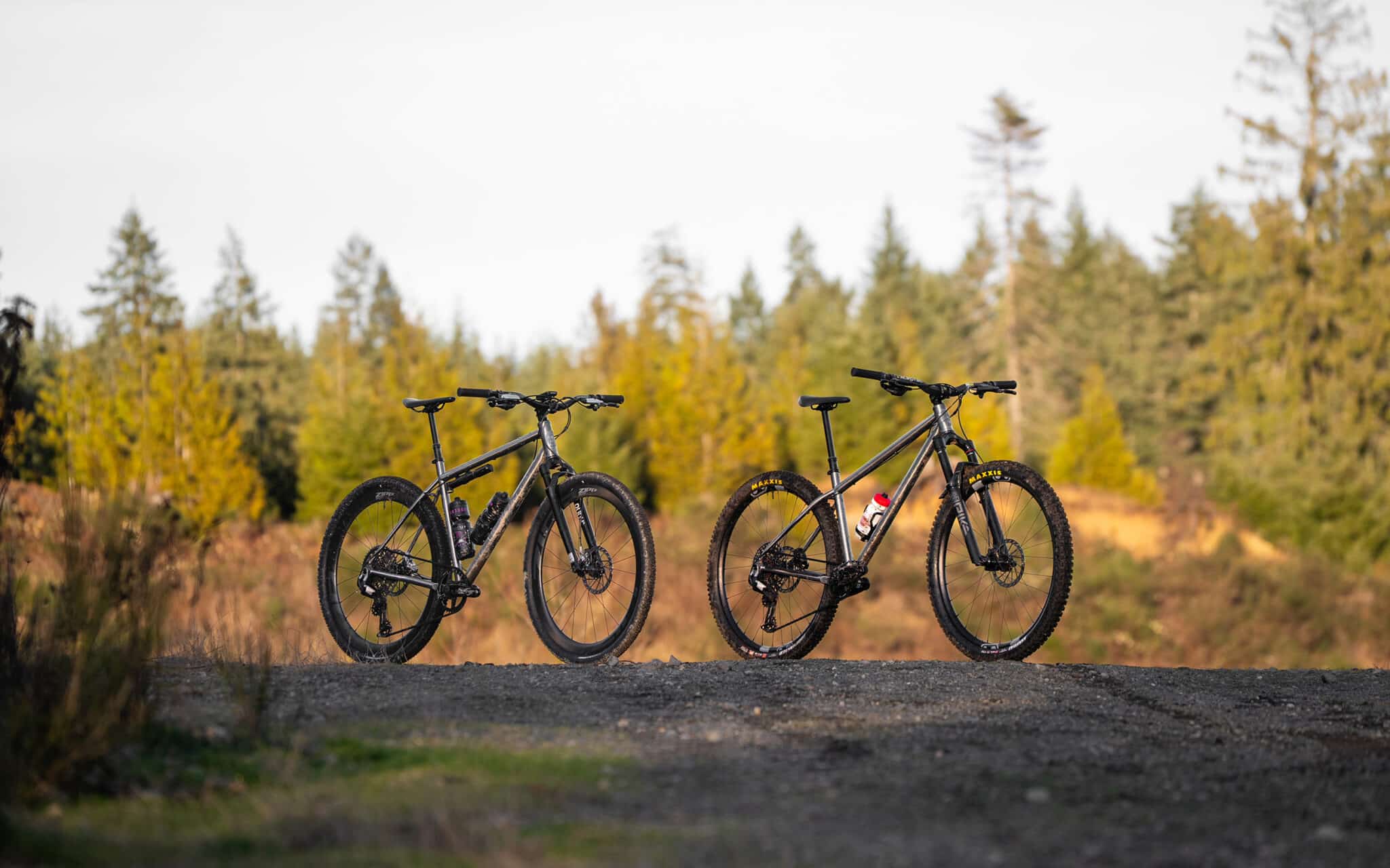 Nouveauté | Forbidden Puritan & Heathen, du titane hardtail