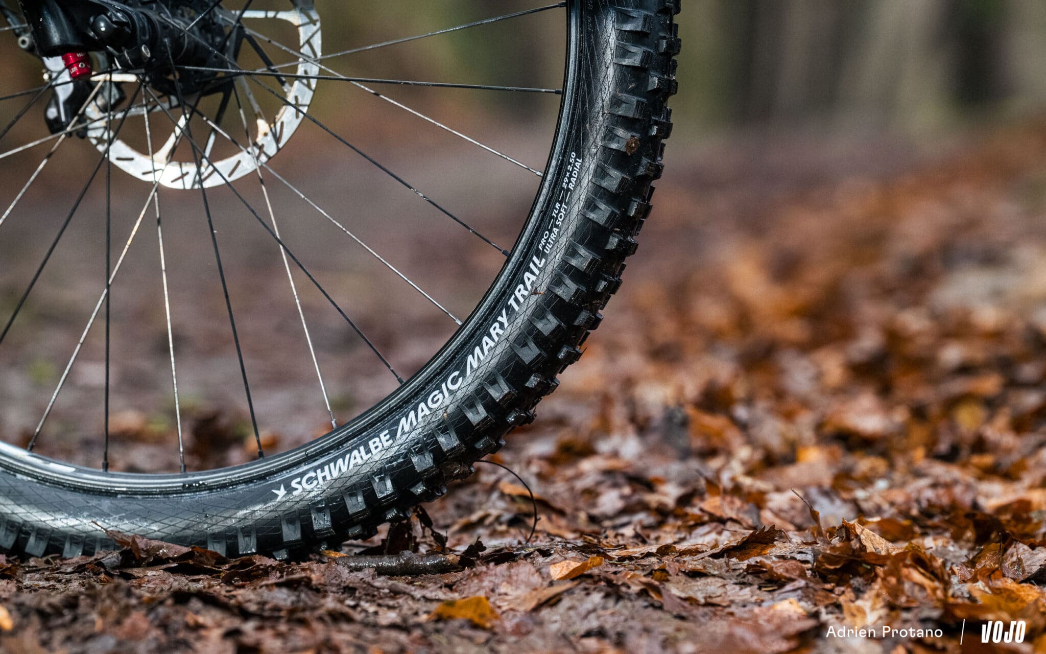 Test | Schwalbe Albert & Magic Mary Radial : le combo rassurant