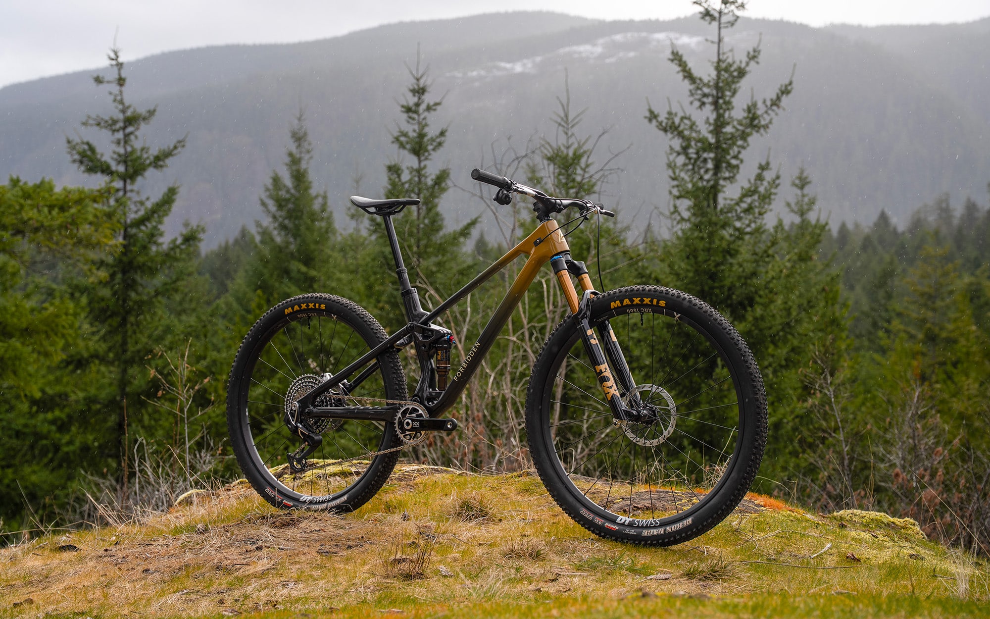 Nouveauté | Forbidden Reya : un trail à petit débattement… et sans pivot haut