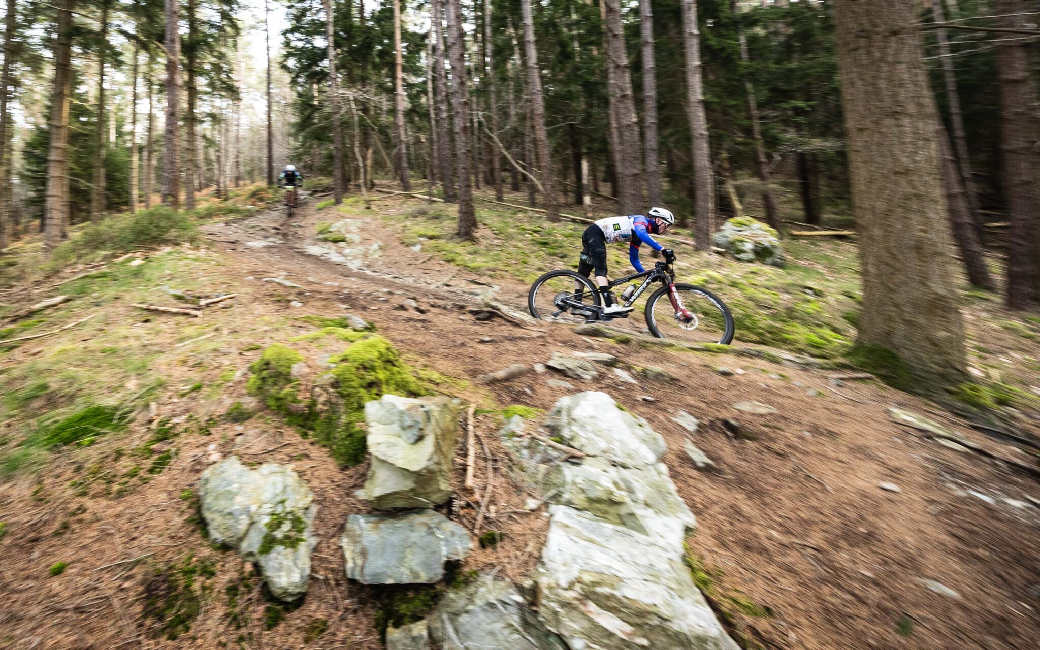 BAMS 2026 | La Hallonienne : petit chantier sous le soleil
