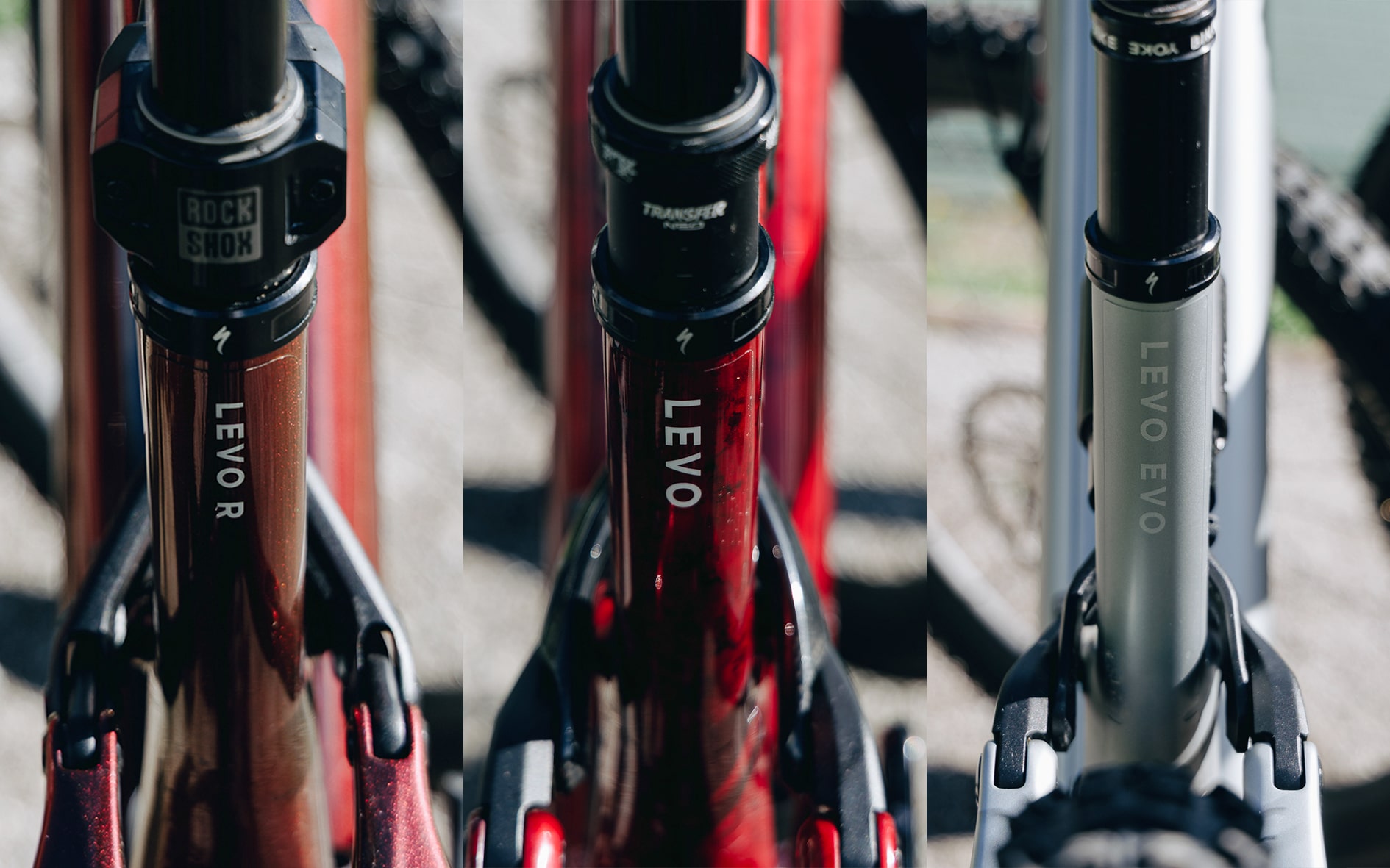 Comparatif | Quel Specialized Levo choisir ?